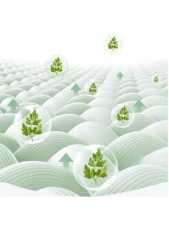 Colorblock Crewneck Long Sleeve Sleepsuits -Kids Clothing Shop P 20240607145610476 270