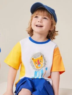 Colorblock Patchwork Loose Boy Tops