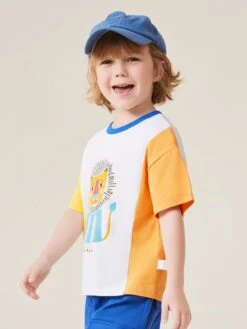 Colorblock Patchwork Loose Boy Tops -Kids Clothing Shop P 20240608100013719 779