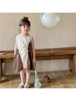 Colorblock Crewneck A-line Girl Dresses