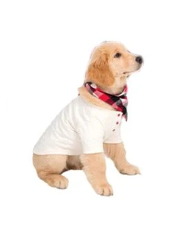 Animal Print Crewneck Cotton Family Sets -Kids Clothing Shop P 20240619172034986 632