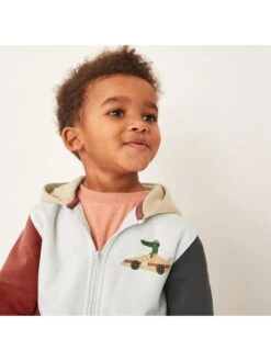 Cartoon Pattern Colorblock Fitted Boy Coat -Kids Clothing Shop P 20240620185621994 289